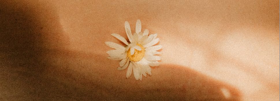 Your perfect match – Ein Selbstliebe-Festival